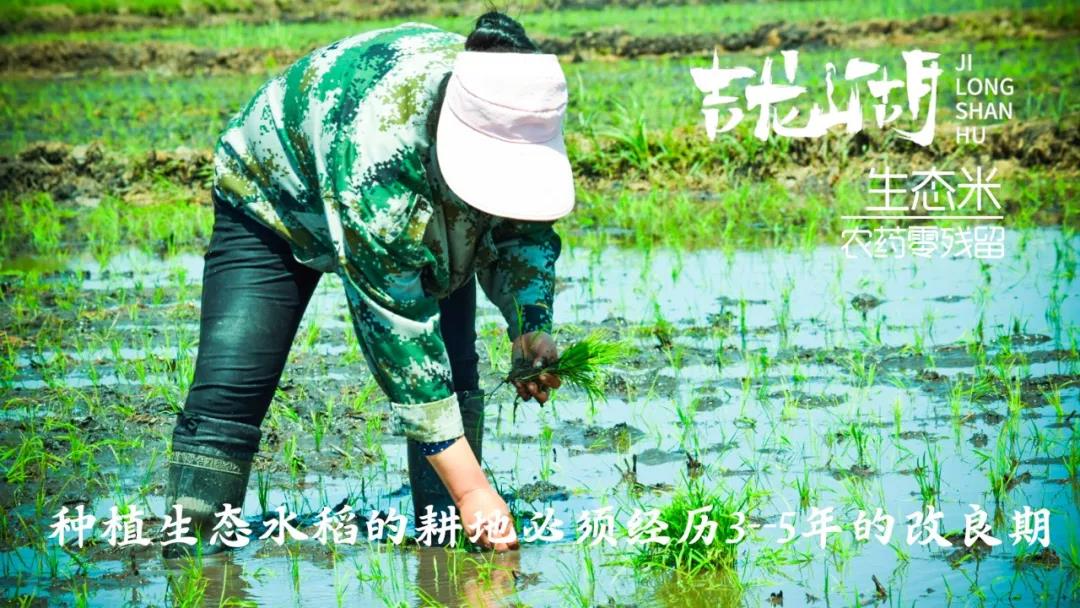 【展商風(fēng)采】第七屆“深圳綠博會(huì)”黑龍江美麗”麻山”展示不一樣的綠色食品 ！